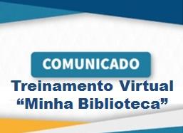 treinamento virtual